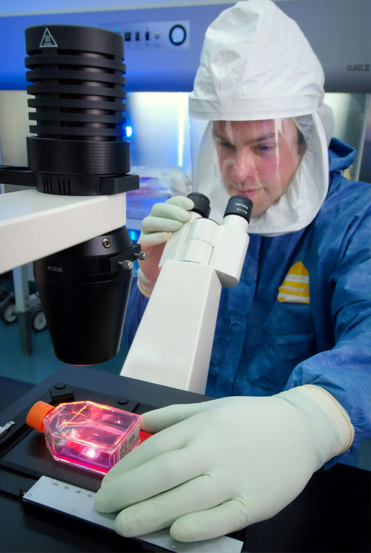 Xenobiotics and Their Impact on Health