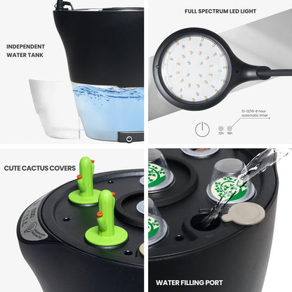 2-In-1 Hydroponics & Soil Growing System, 6 Pods Indoor Herb Garden up to 13.8", Plants Germination Kit for Kitchen, Countertop