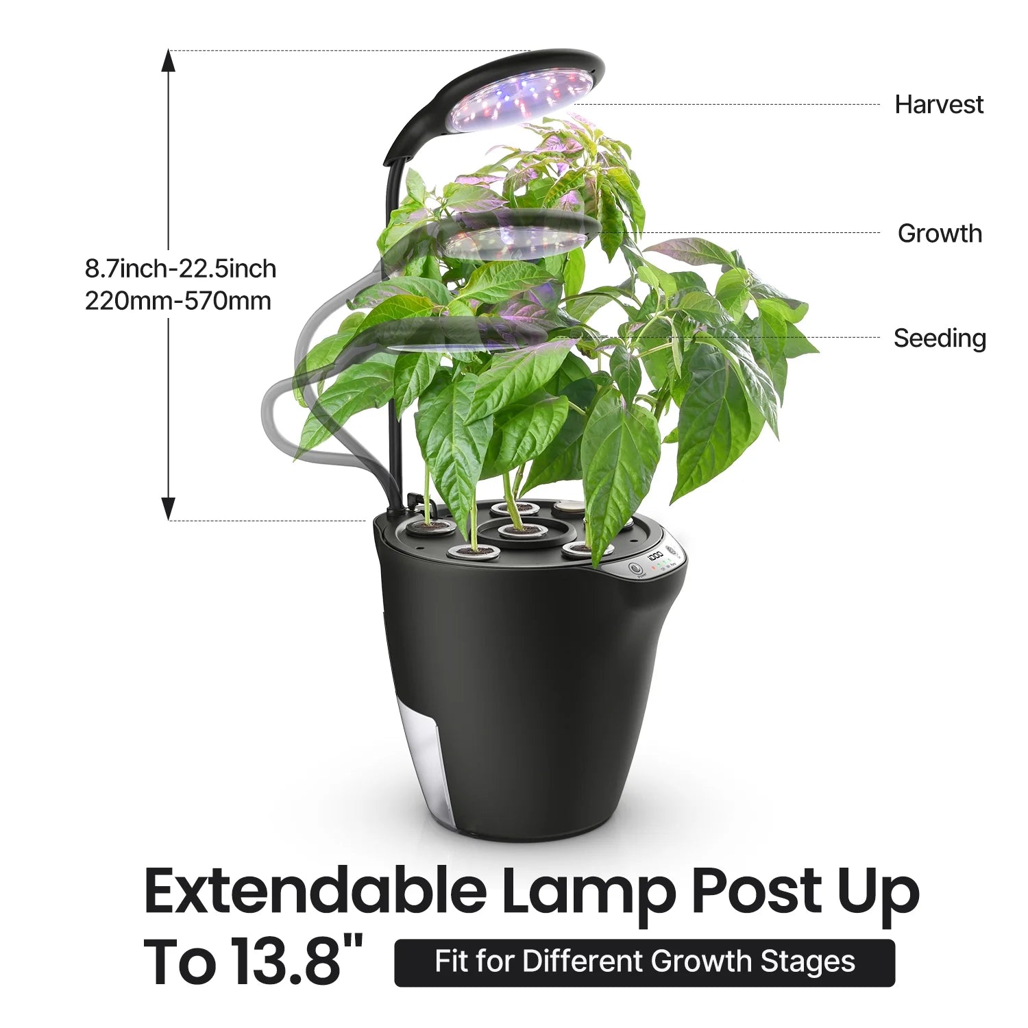 2-In-1 Hydroponics & Soil Growing System, 6 Pods Indoor Herb Garden up to 13.8", Plants Germination Kit for Kitchen, Countertop