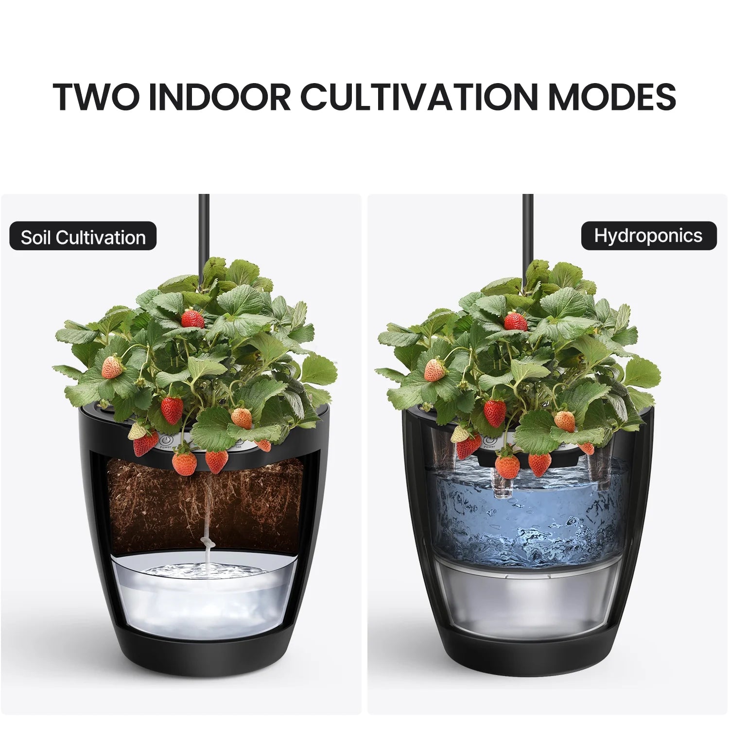 2-In-1 Hydroponics & Soil Growing System, 6 Pods Indoor Herb Garden up to 13.8", Plants Germination Kit for Kitchen, Countertop